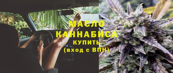 сатива Нязепетровск