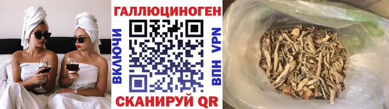 Псилоцибиновые грибы мицелий Людиново