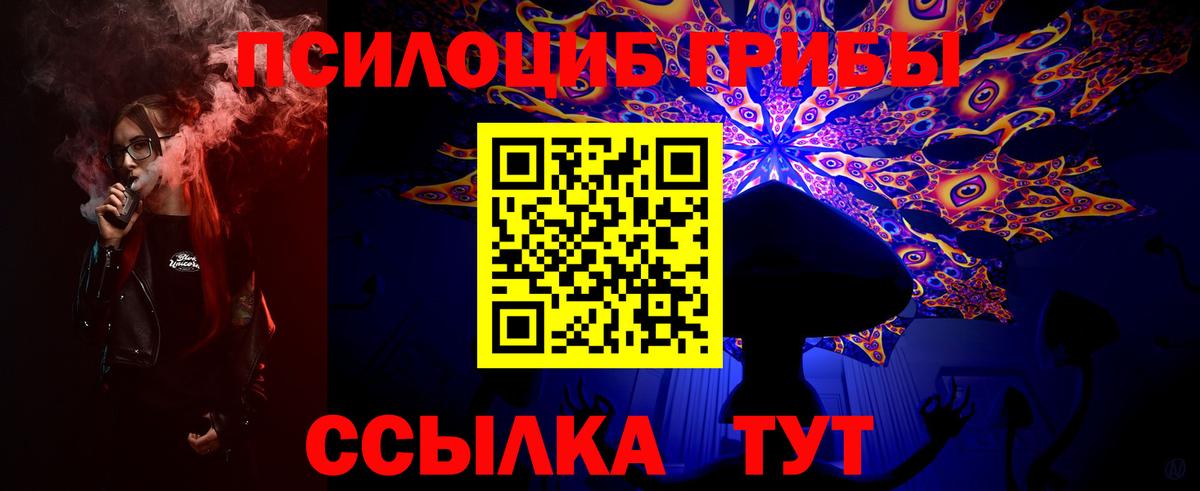 Людиново  Псилоцибиновые грибы ЛСД  Вход с VPN 